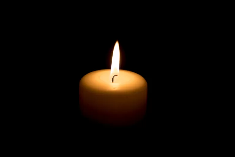 rip, Hennen
