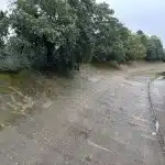 Brooklands