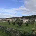 Terramar