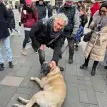 Vajtó Lajos a Noé Állatotthon egyik kutyájával