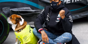 Lewis Hamilton Roscoe kutyájával, 2020 Török Nagydíj