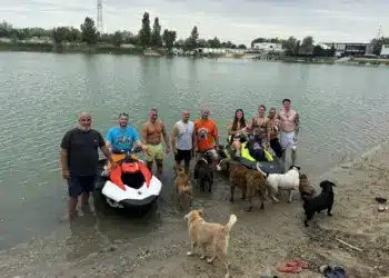 Mentett kutyák strandoltak Kiss Norbival a Jet Power Hungary-nál