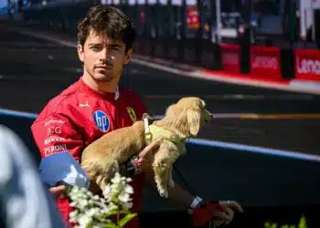 A paddock négylábú sztárjai – Kutyák Világnapja az F1-ben