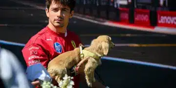 Charles Leclerc, és a kezében kutyája: Leo