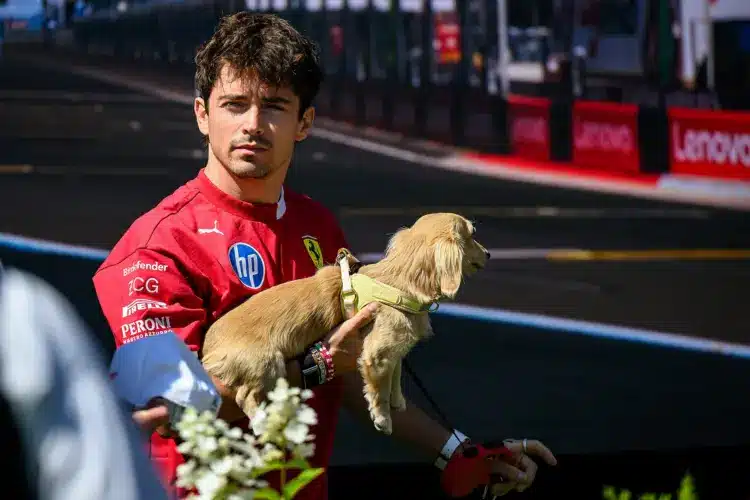 A paddock négylábú sztárjai – Kutyák Világnapja az F1-ben