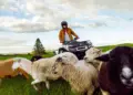 Korszakváltás a quadpiacon: bemutatkozott a Can-Am Outlander Electric