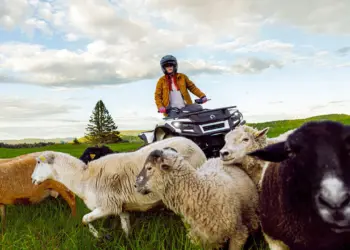 Korszakváltás a quadpiacon: bemutatkozott a Can-Am Outlander Electric