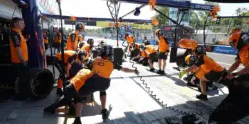 Lando Norris, mclaren, brown