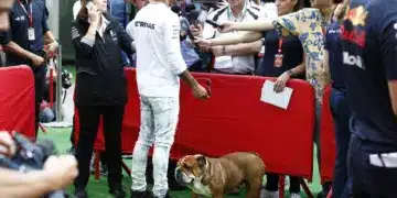 Lewis Hamilton Roscoe kutyájával