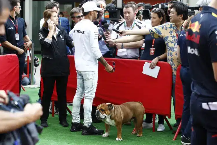 Lewis Hamilton szívszorító hírt közölt, aggódnak a rajongók