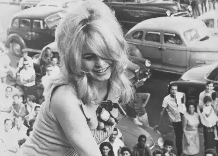 Brigitte Bardot egykoron kavart François Cevert F1-es versenyzővel is