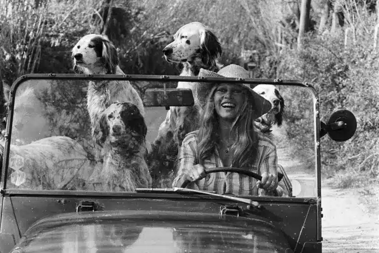 Brigitte Bardot ikonikus élete négy keréken