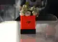 McLaren asztaldísz