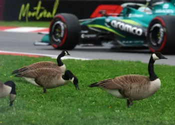 Fernando Alonso, Aston Martin