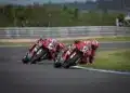 Bulega - Lecuona
