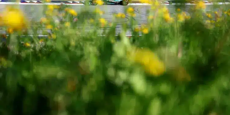 Fernando Alonso, Aston Martin, Horner