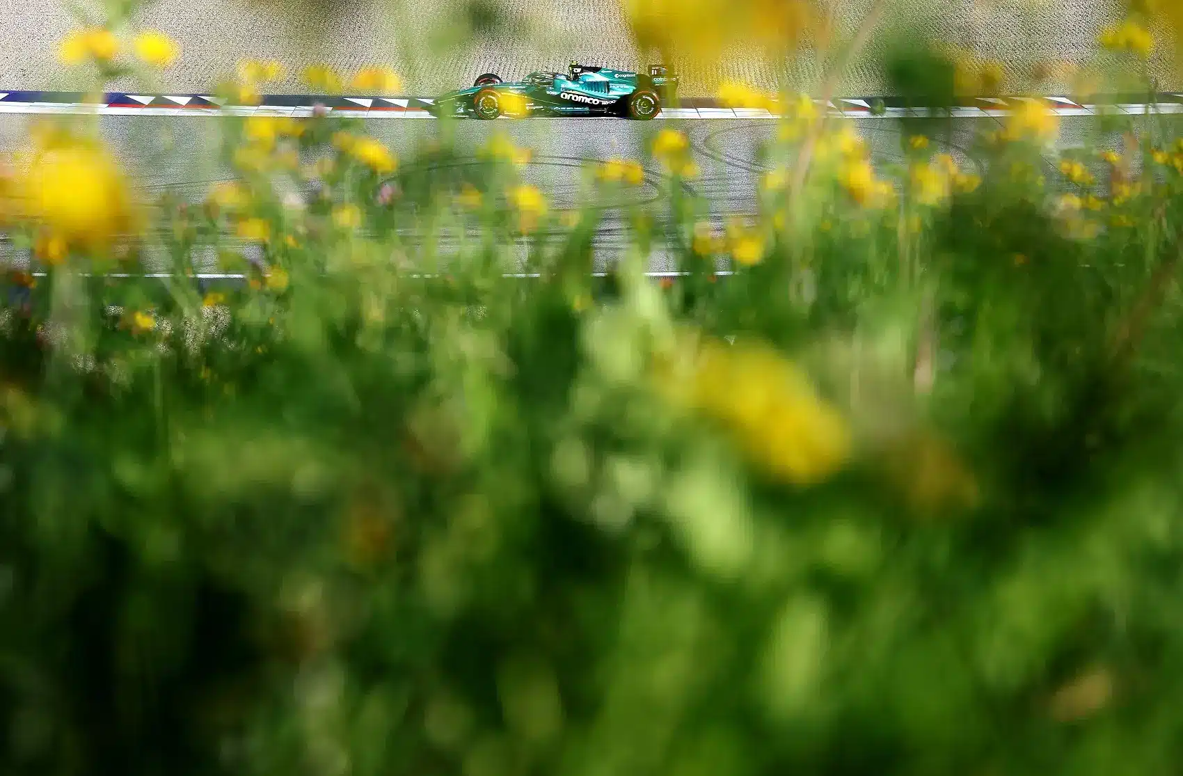Fernando Alonso, Aston Martin, Horner