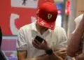 Ferrari fan