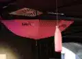 BWT