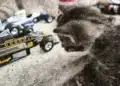 Motorsportol.hu cicák