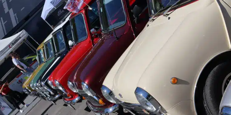 Minik, Hungaroring Classic,puzzle