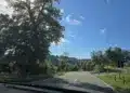 Holy Cube Rally