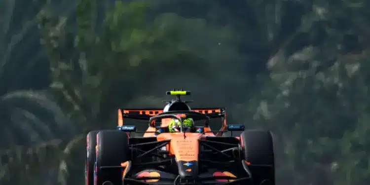 Lando Norris