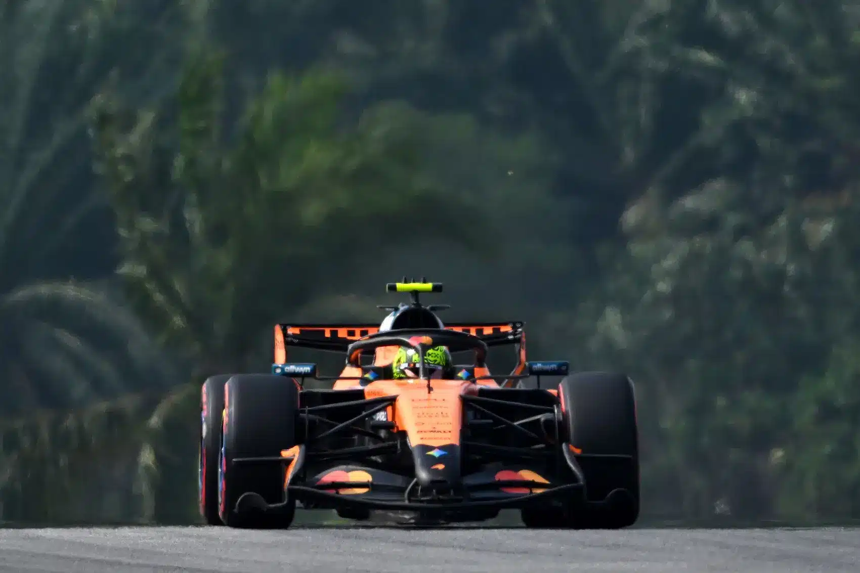 Lando Norris