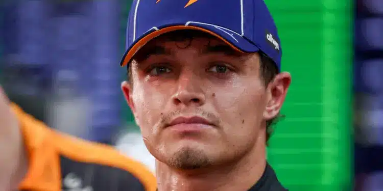 Lando Norris