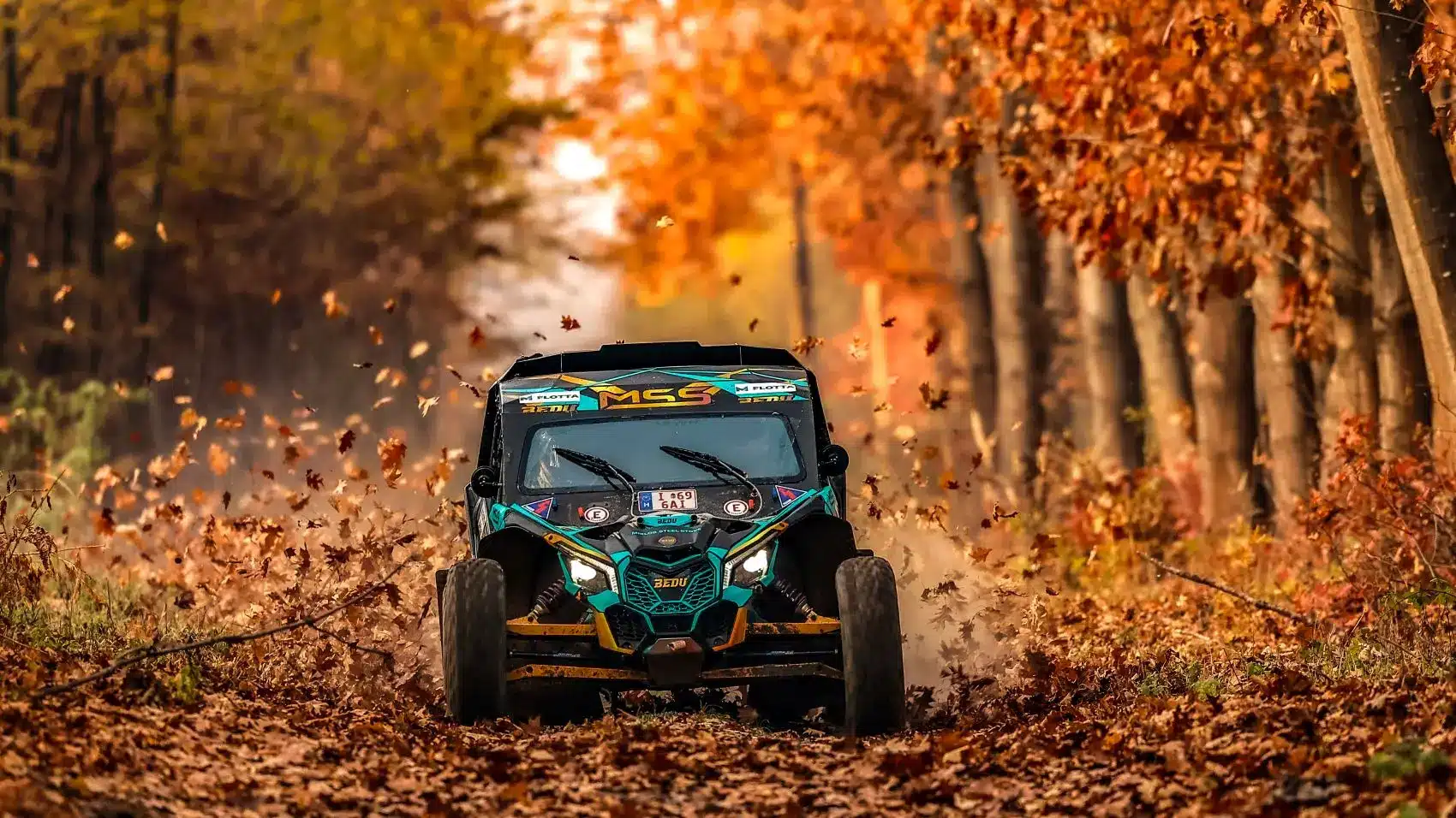Hungarian Baja